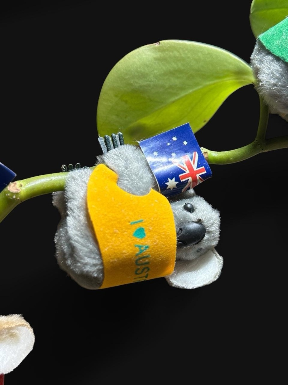 I Love Australia Koala Clips